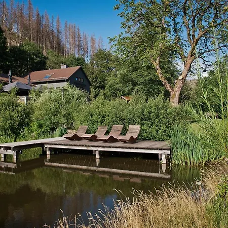 Tiny House Nature 4 - Tiny Village Harz * Osterode am Harz