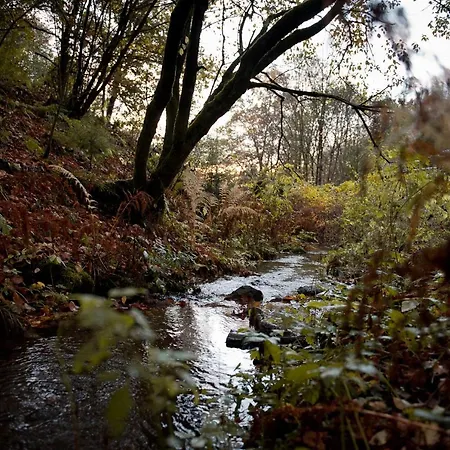 Tiny House Nature 4 - Tiny Village Harz *